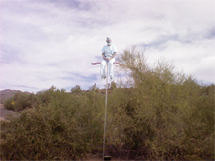 owl perch